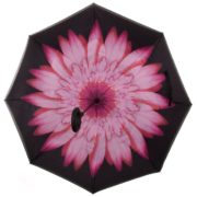 Obrácený deštník - květina