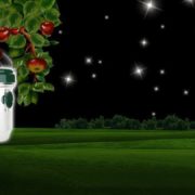 Solární lapač hmyzu