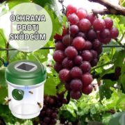 Solární lapač hmyzu