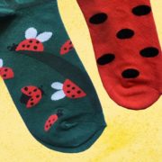 Veselé ponožky - beruška